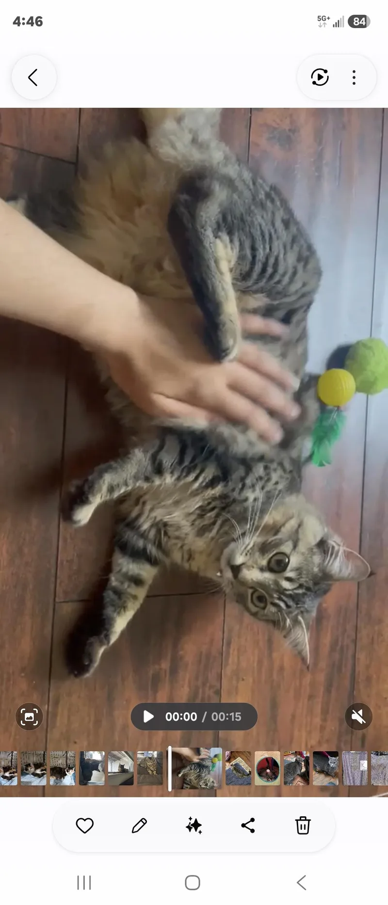 Luna thumbnail 3