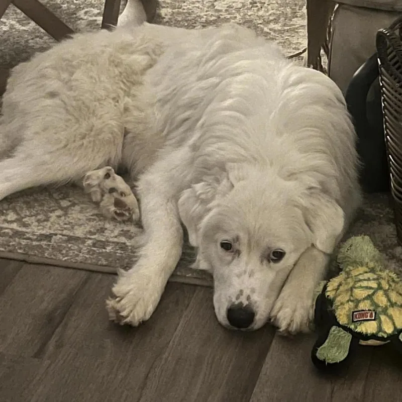 Charlottemom thumbnail 2