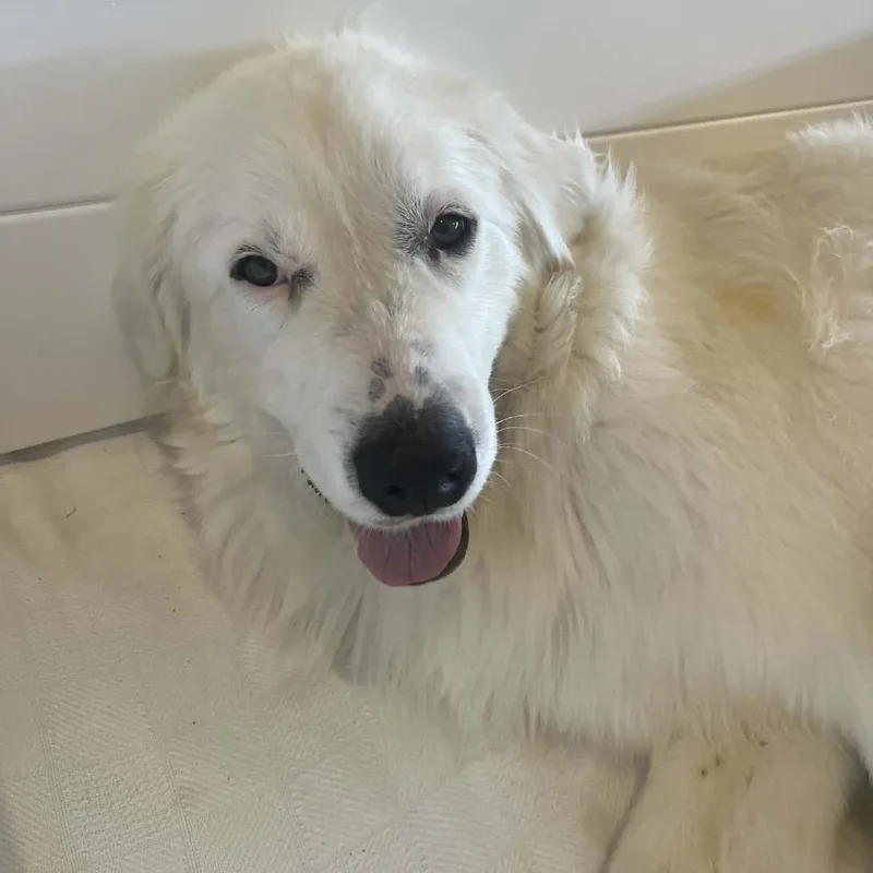 Charlottemom thumbnail 3