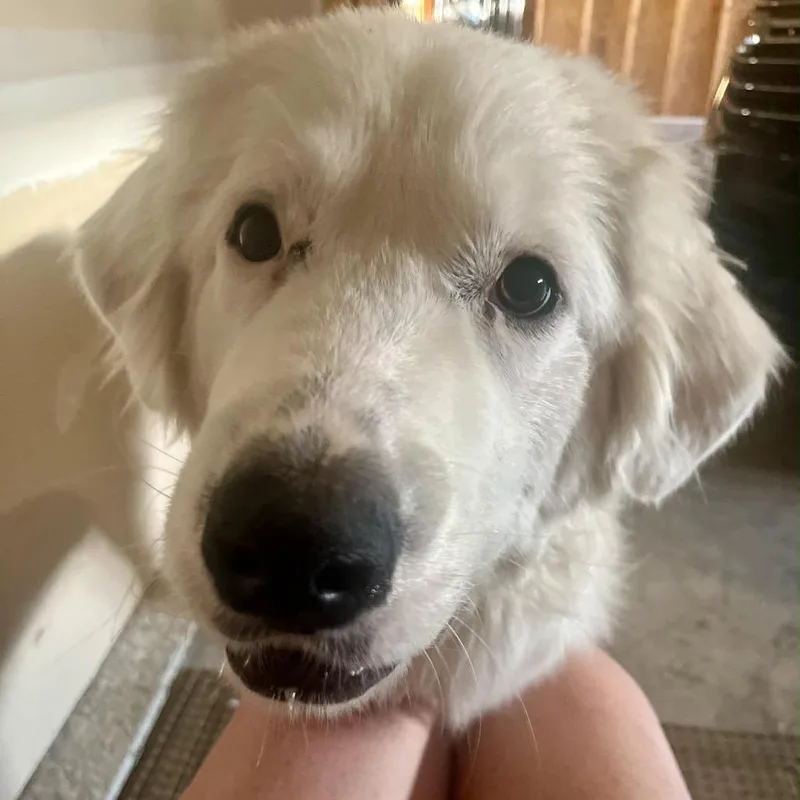 Charlottemom thumbnail 4