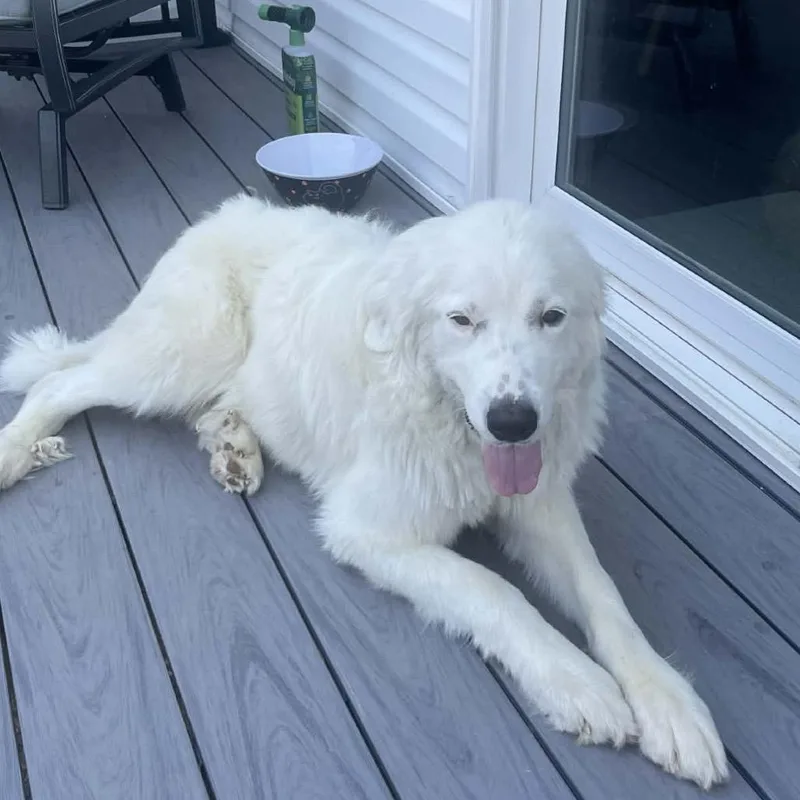 Charlottemom thumbnail 5