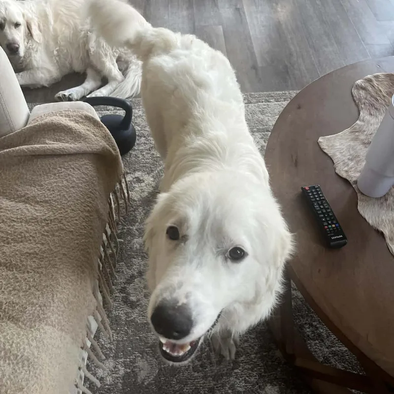 Charlottemom thumbnail 6