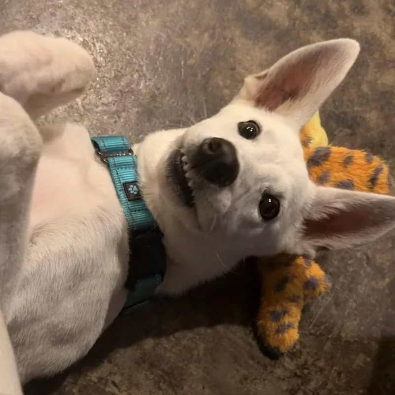 Casper thumbnail 2