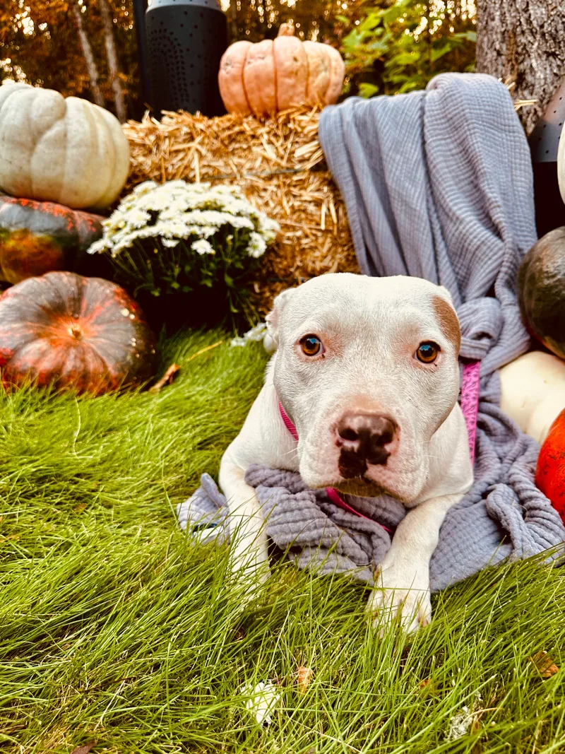 Bettylou thumbnail 2