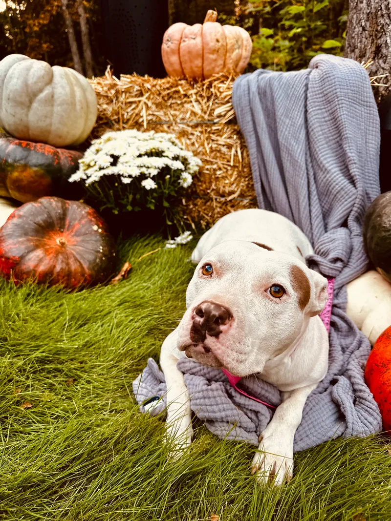 Bettylou thumbnail 4