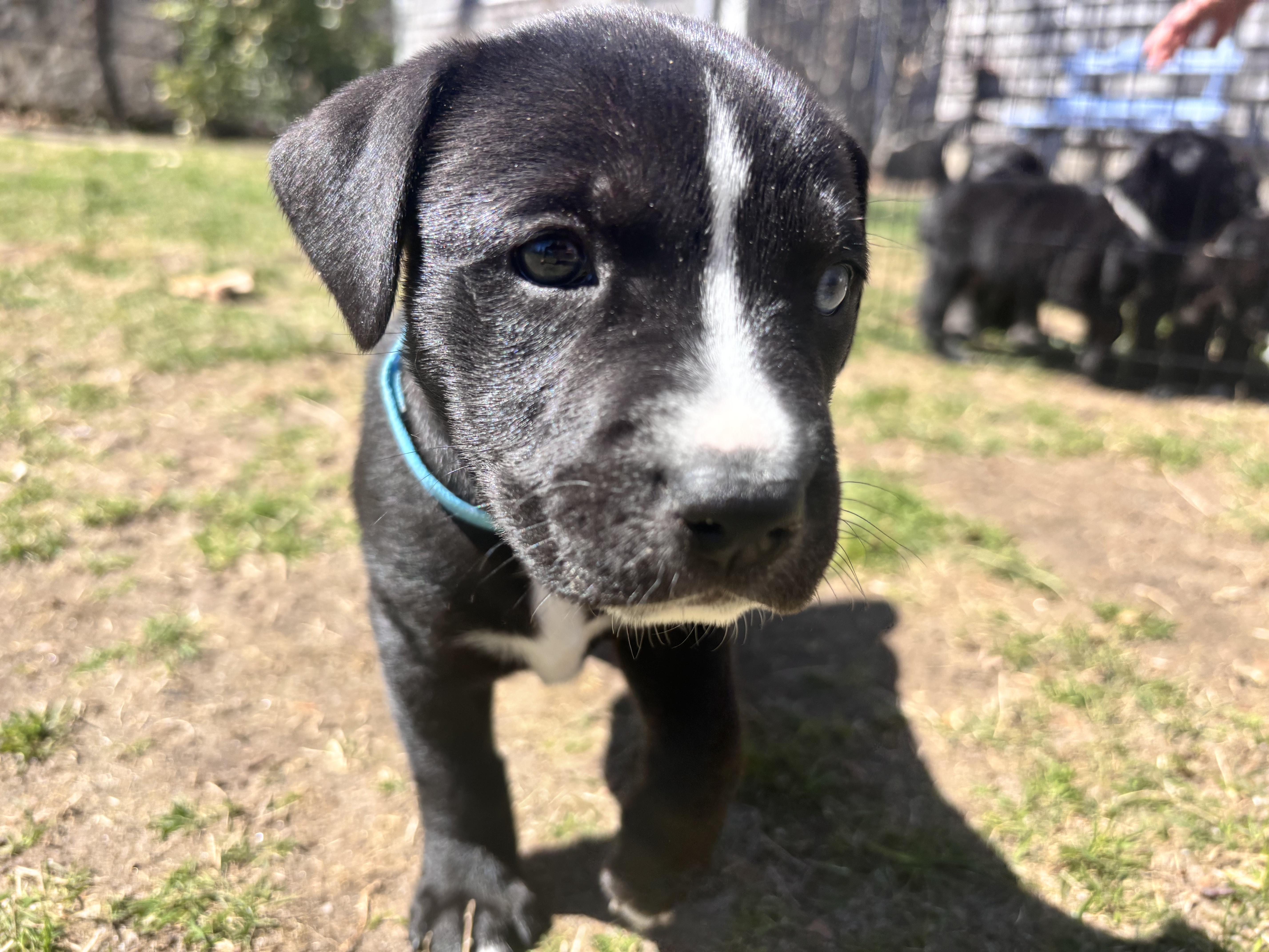 Hatty Skates ~ Local thumbnail 3