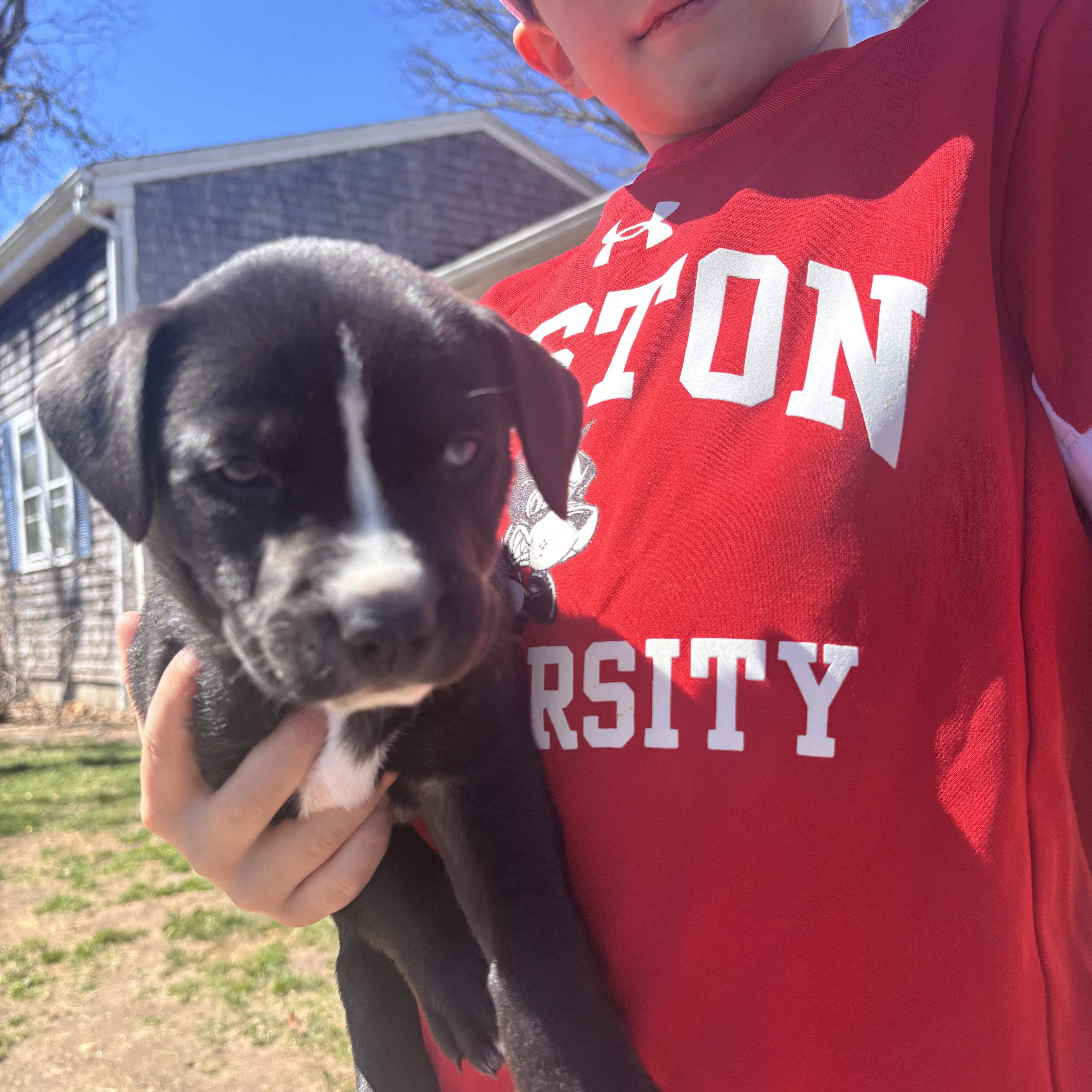 Hatty Skates ~ Local thumbnail 6