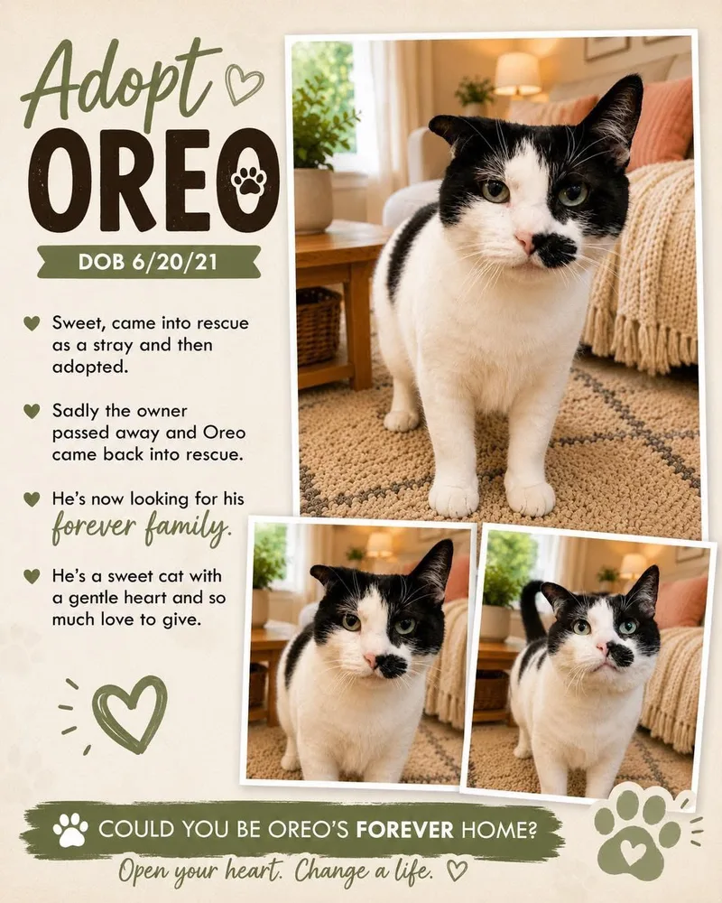 Oreo thumbnail 3