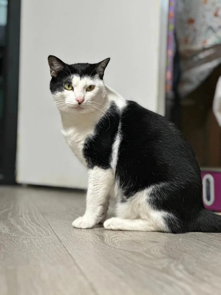 Ellie Mae thumbnail 2