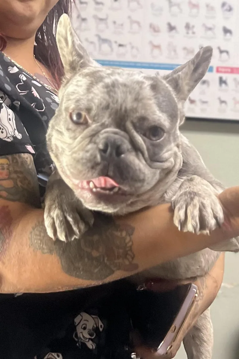 Stitch thumbnail 5