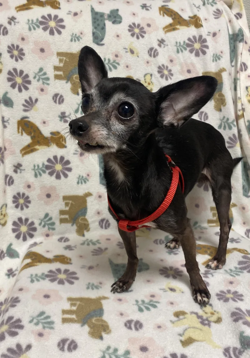 Kesha And Karlos thumbnail 2