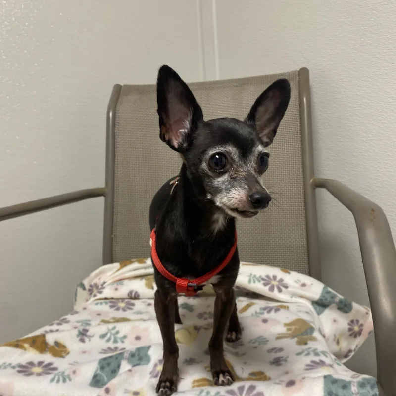 Kesha And Karlos thumbnail 5