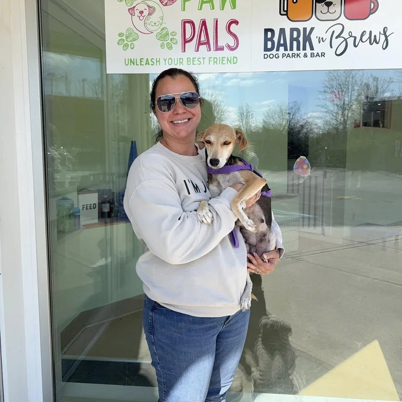 Brittanie thumbnail 2