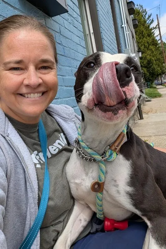 An adult large-sized male Black Mixed Breed dog named Canon for adoption in Cincinnati, OH