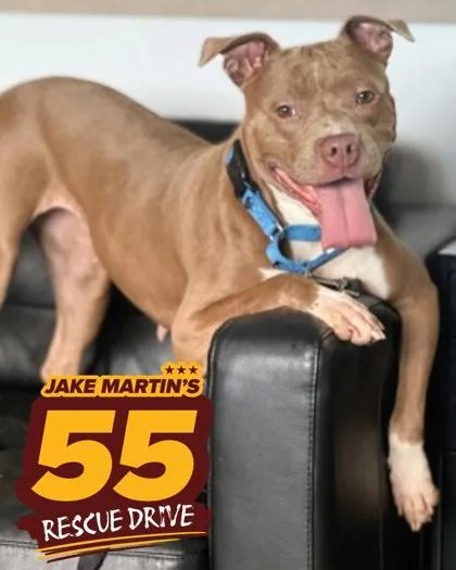 Stella Luna thumbnail 3