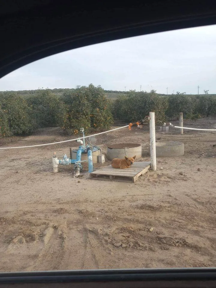 Cj Calamity Jane thumbnail 2