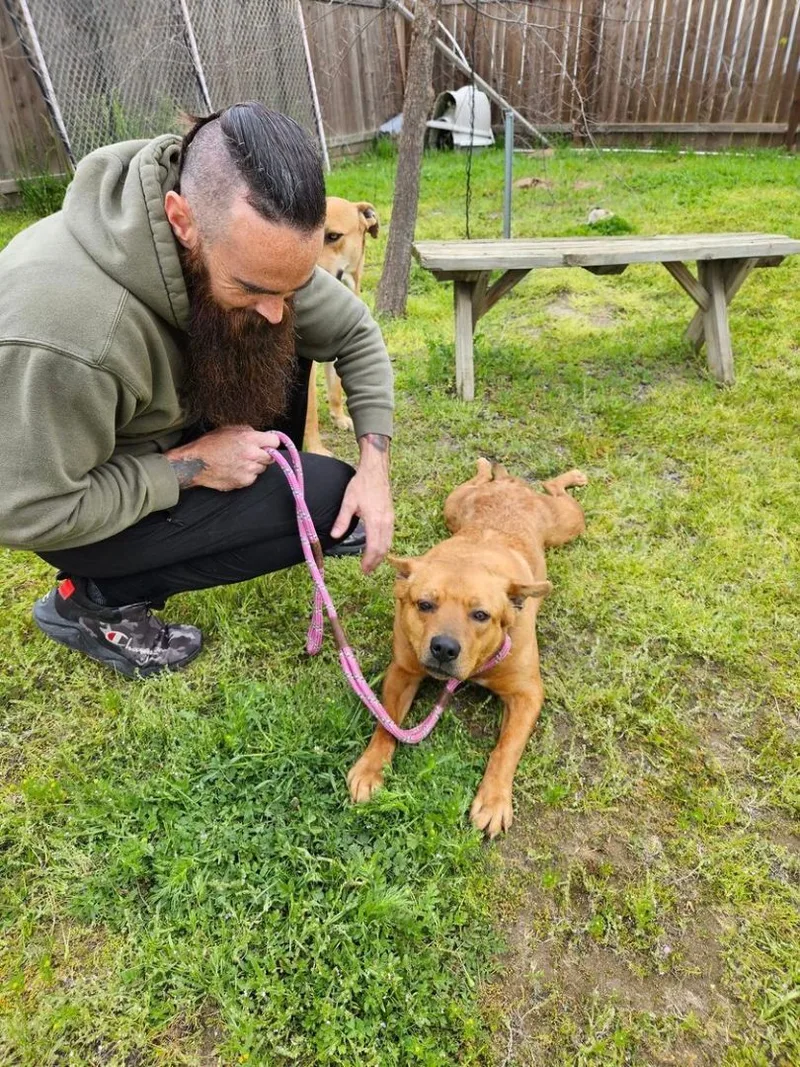 Cj Calamity Jane thumbnail 3