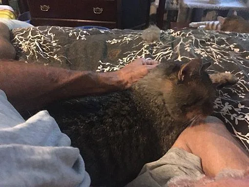 Bernie Mac thumbnail 2