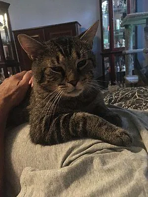 Bernie Mac thumbnail 3