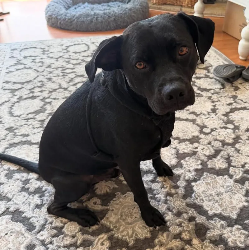 Looking For My Happily thumbnail 4