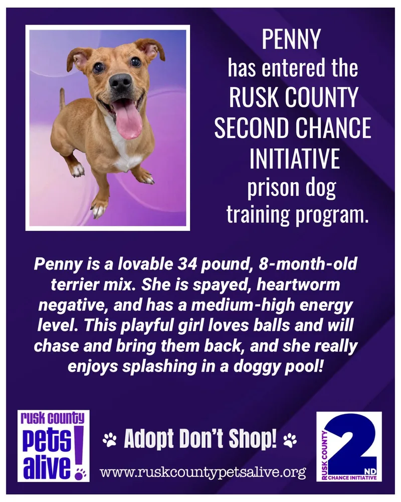 Penny thumbnail 3