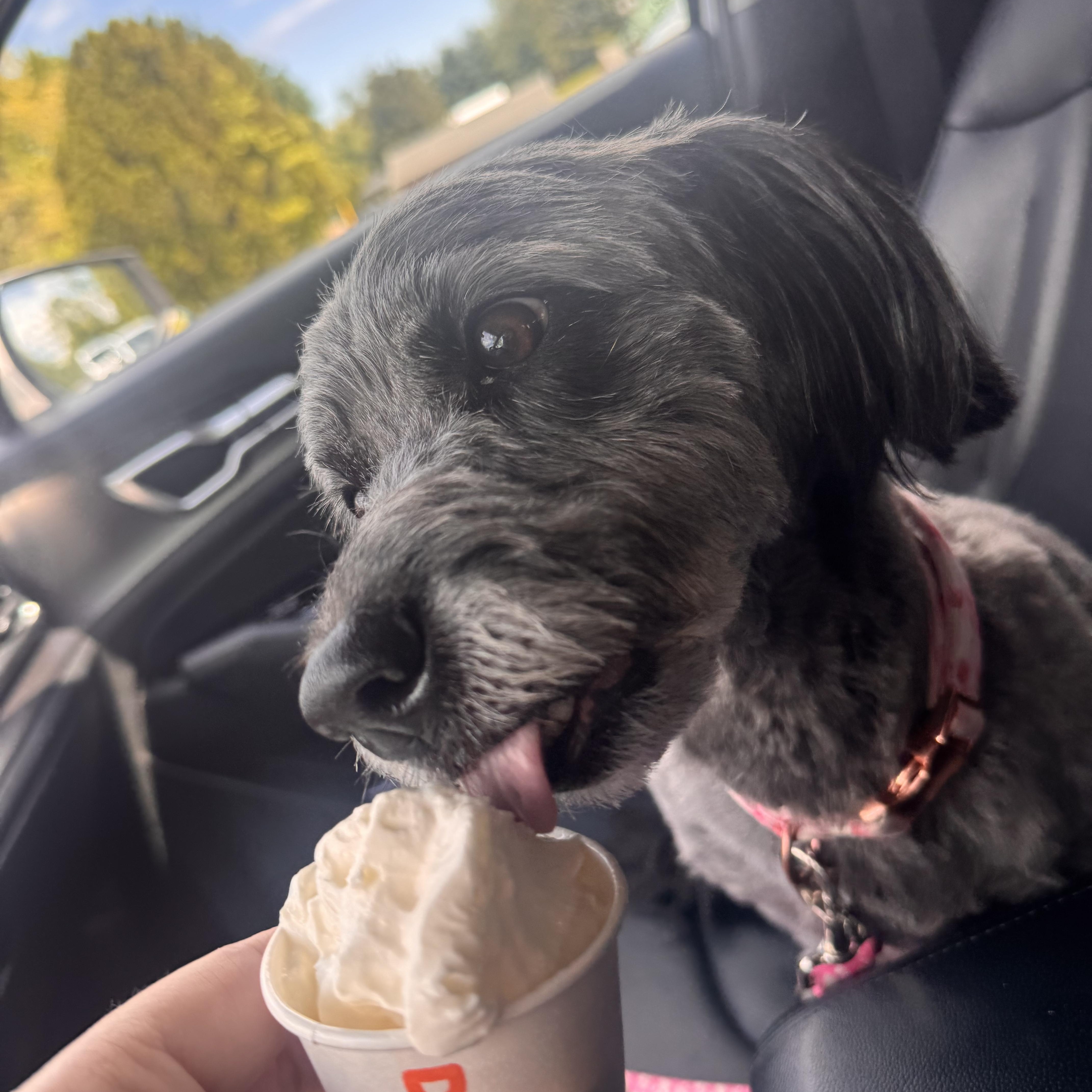 Sadie May thumbnail 2
