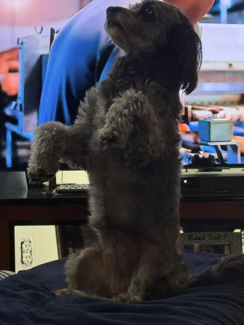 Sadie May thumbnail 3