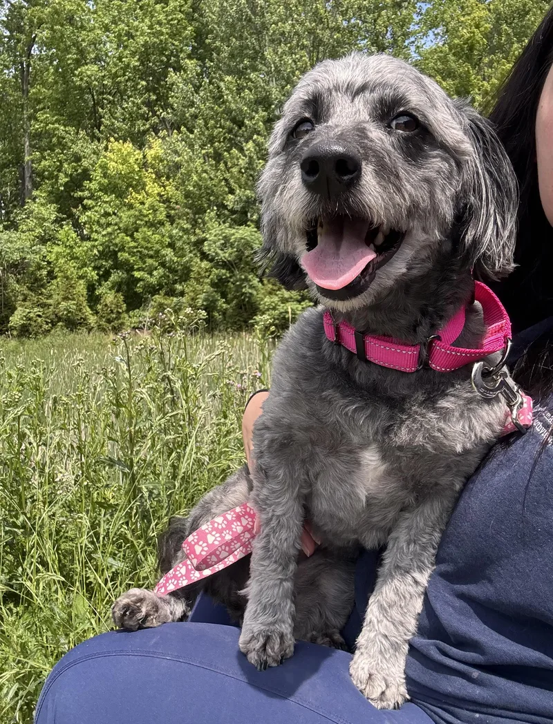 Sadie May thumbnail 6