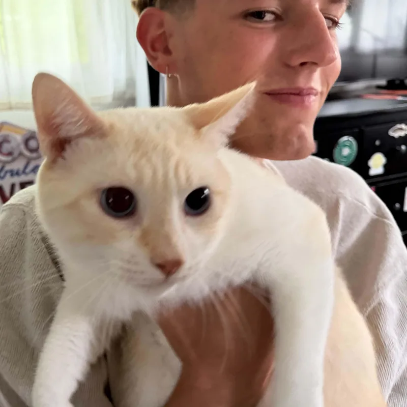 Olaf thumbnail 5