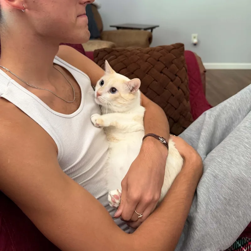 Olaf thumbnail 6