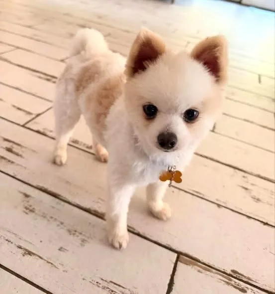 Butters thumbnail 2