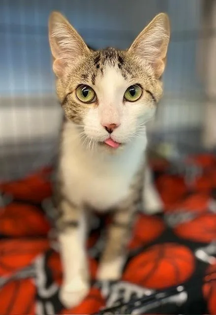 Cleo Wolivia thumbnail 2