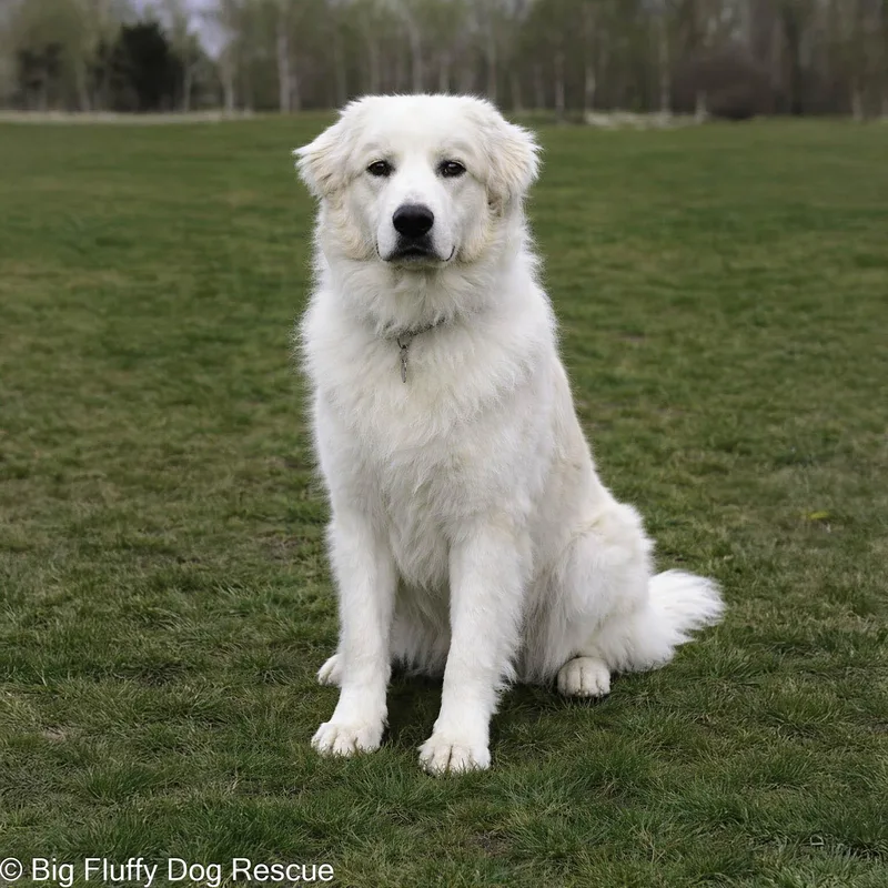 Courtney thumbnail 3