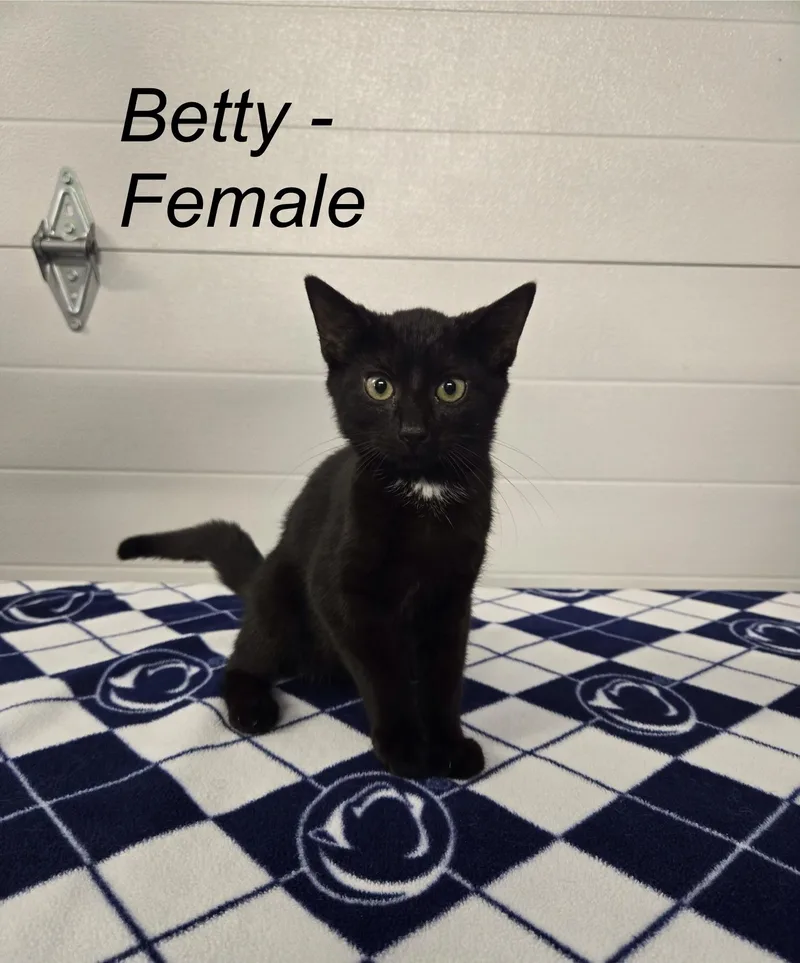 Betty thumbnail 3