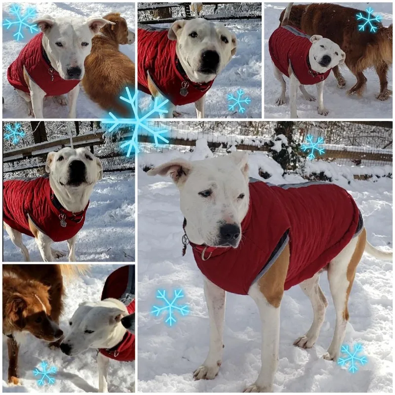 Sprinkles thumbnail 2