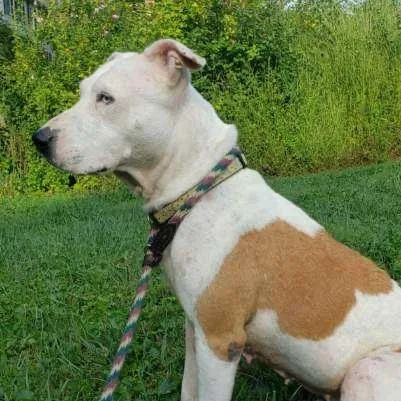 Sprinkles thumbnail 4