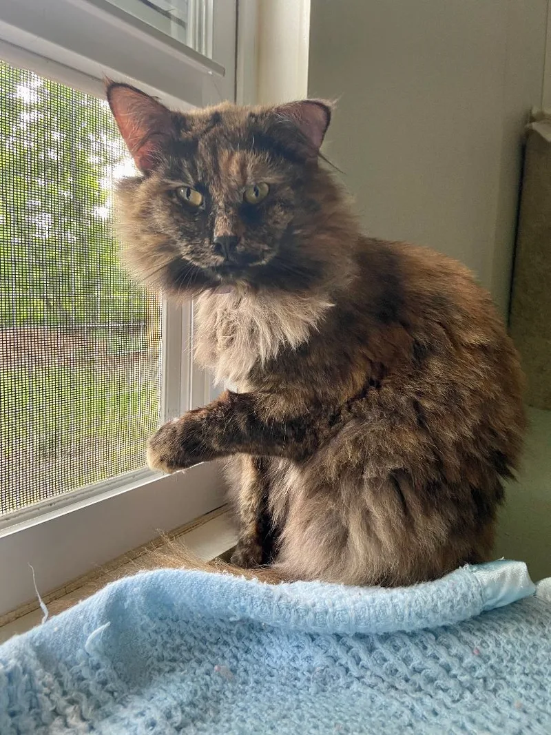 Catherine thumbnail 2