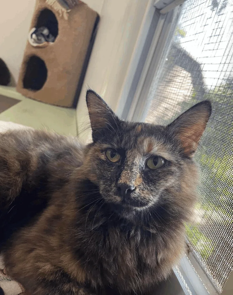 Catherine thumbnail 4