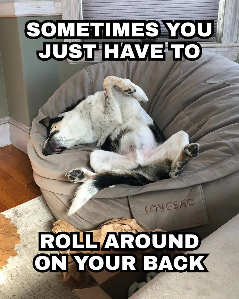 Bubba Bear thumbnail 3