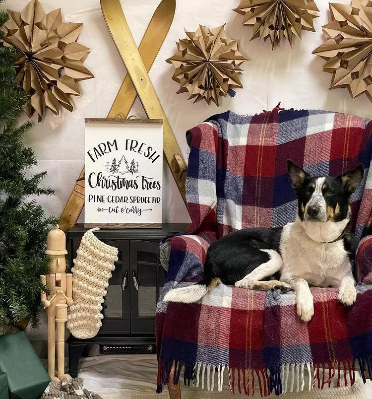 Bubba Bear thumbnail 5