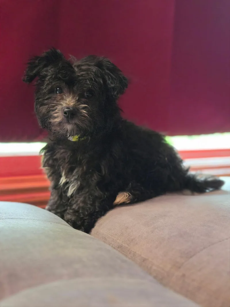 Max