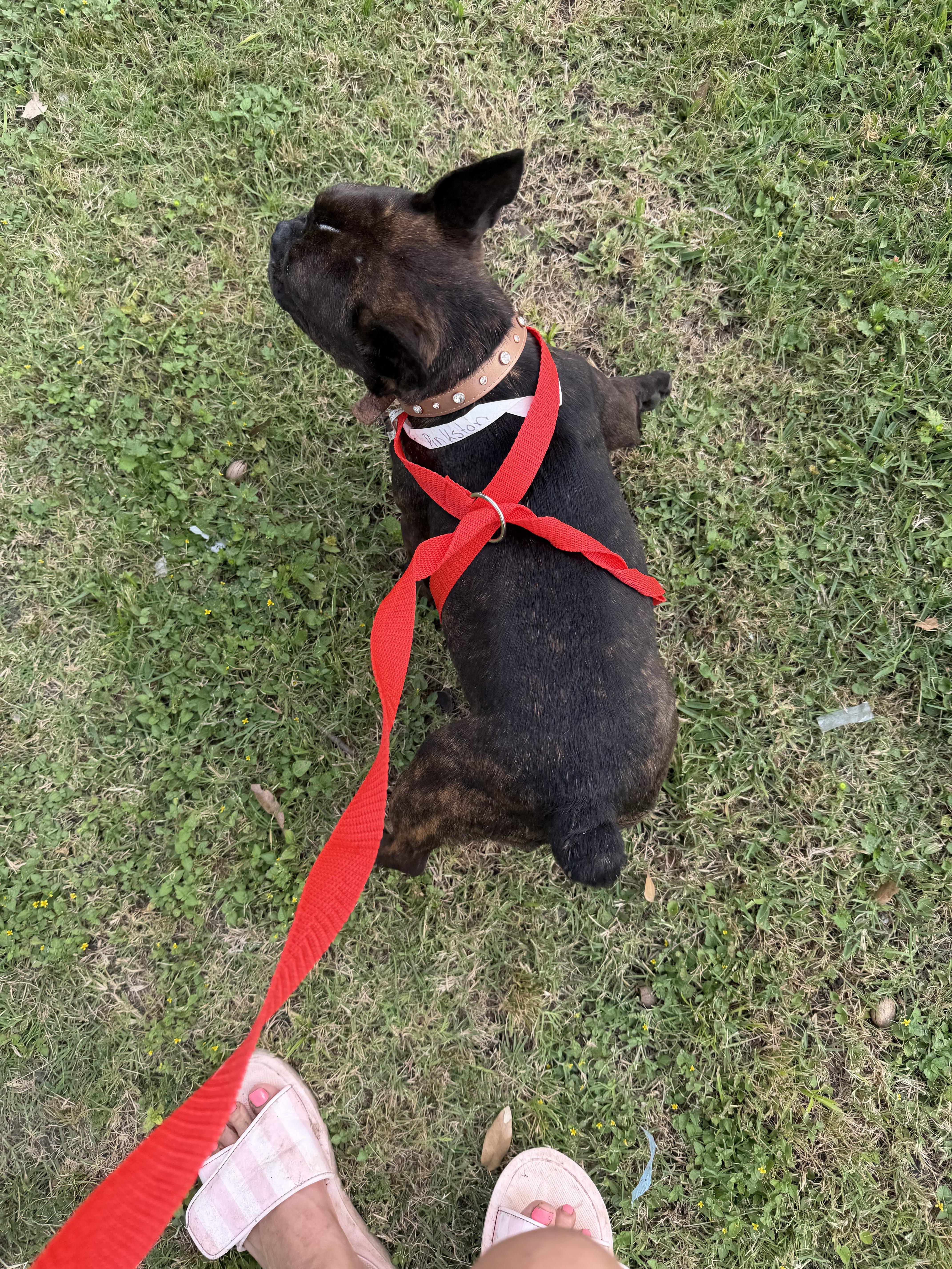 Christine thumbnail 2