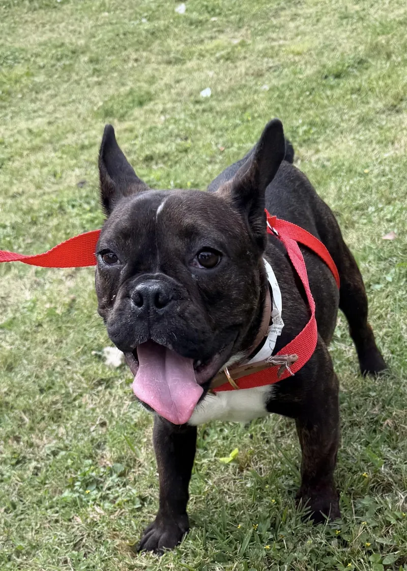 Christine thumbnail 3