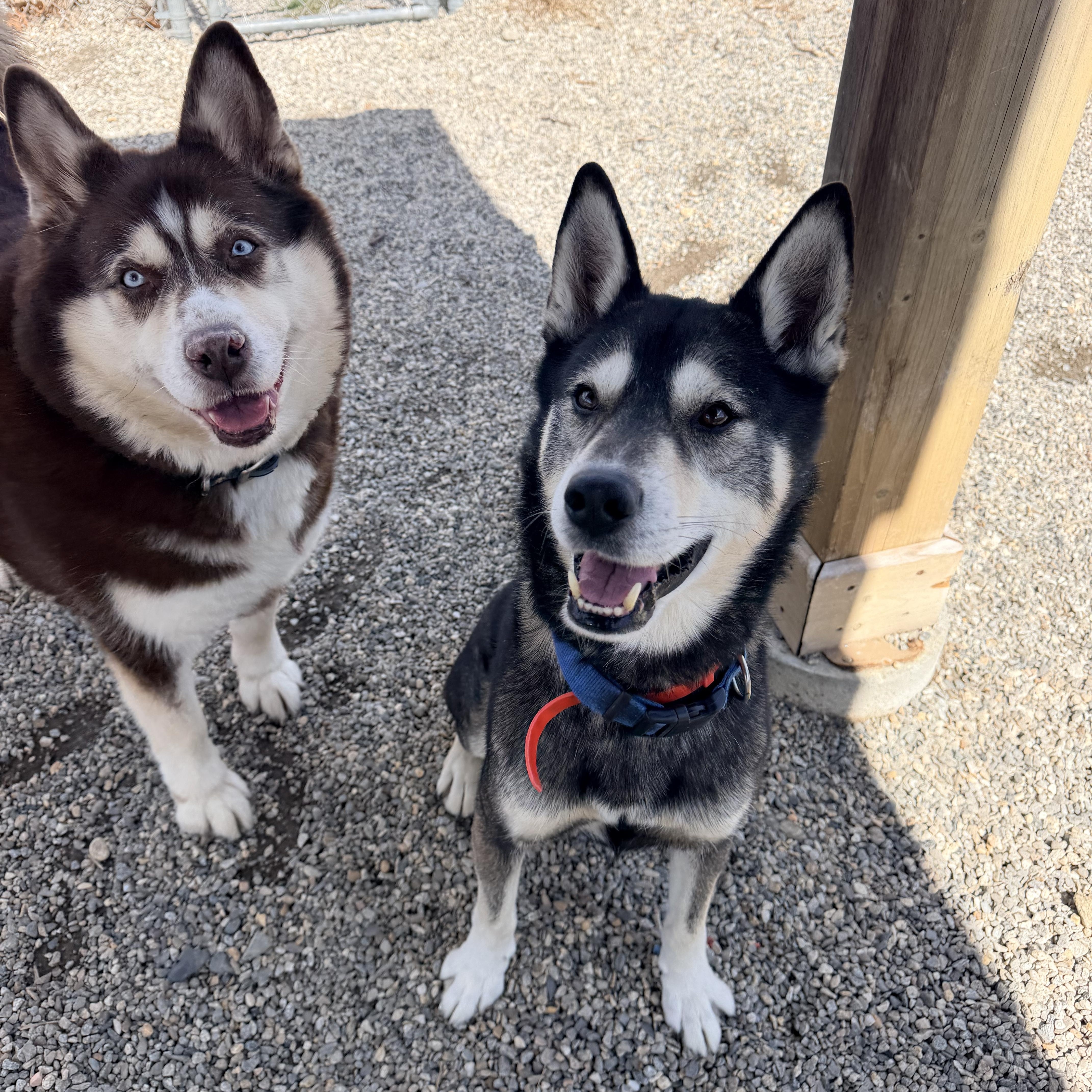 Mabel Aka Mae thumbnail 4