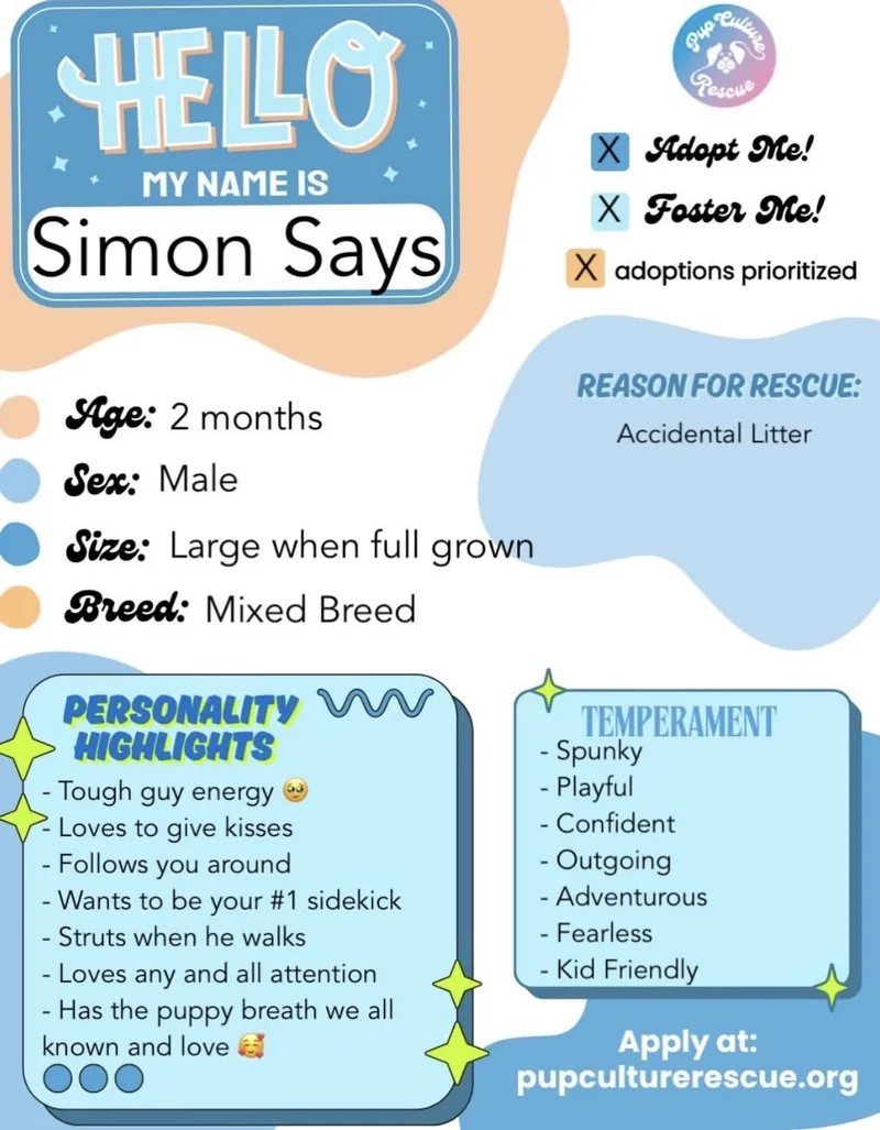 Simon Says thumbnail 2