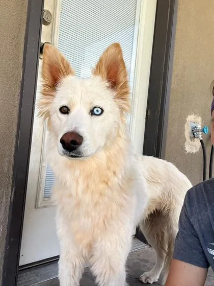 Nilla thumbnail 2