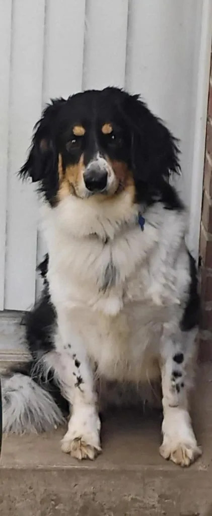 James Harlan thumbnail 2