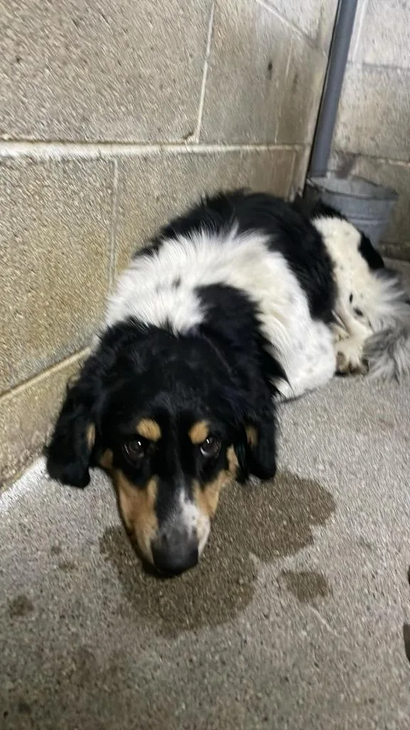 James Harlan thumbnail 4