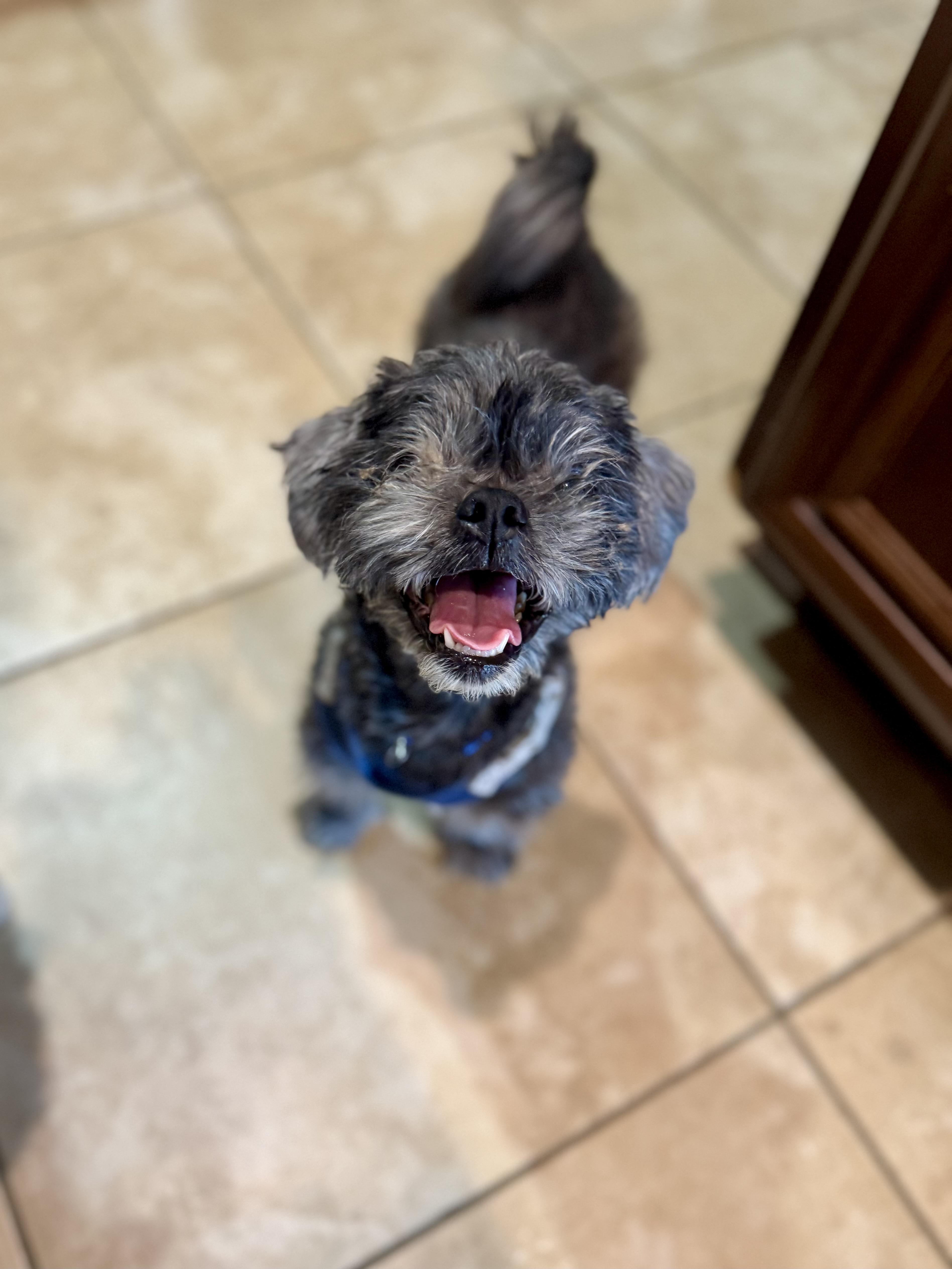 Bentley & Berkeley thumbnail 2