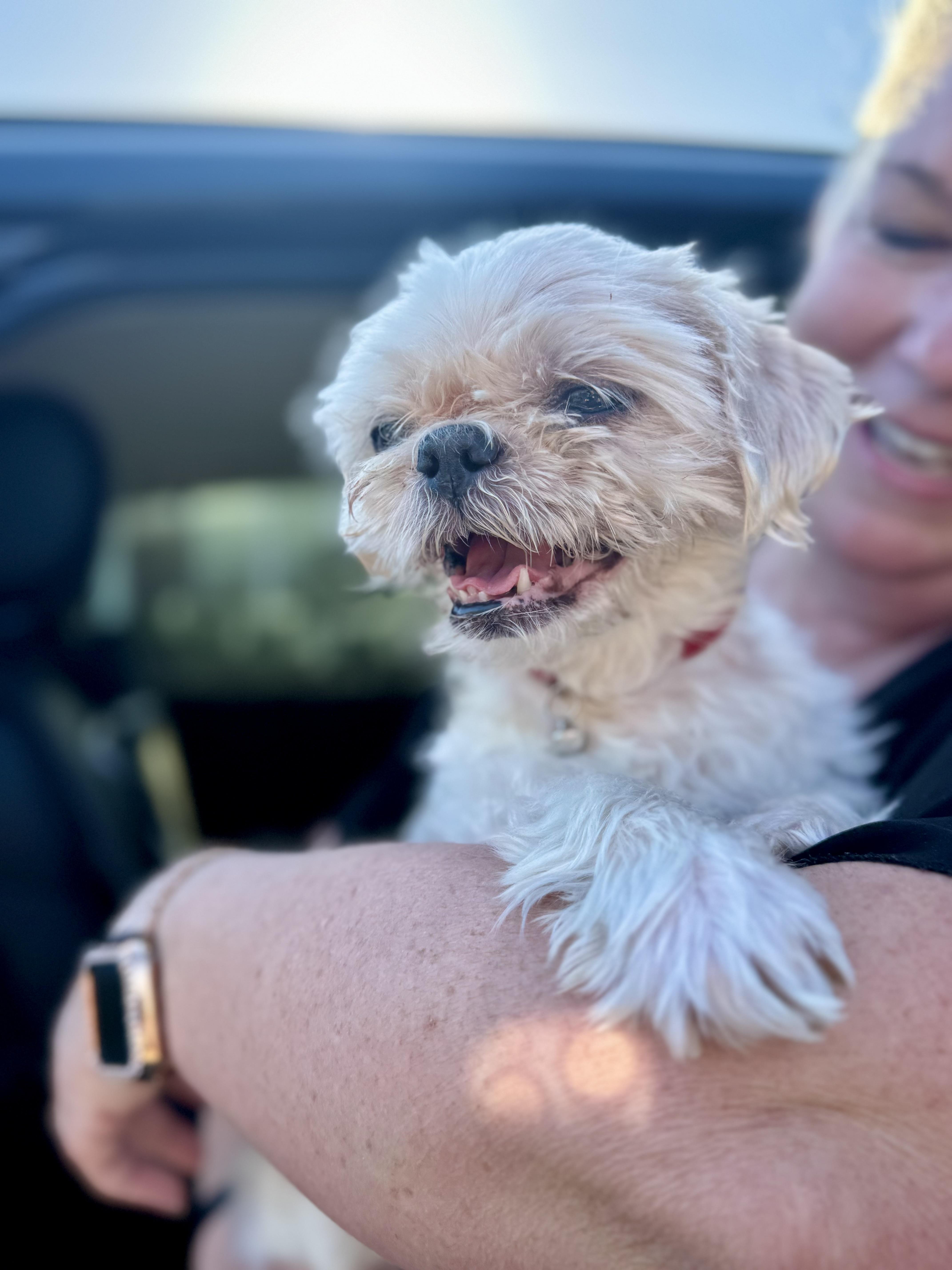 Bentley & Berkeley thumbnail 3